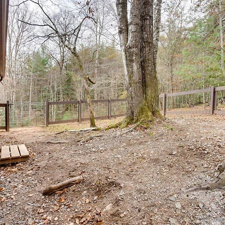 Peaceful Warne Cabin Fenced Yard And Screened Porch Brasstown Ngoại thất bức ảnh