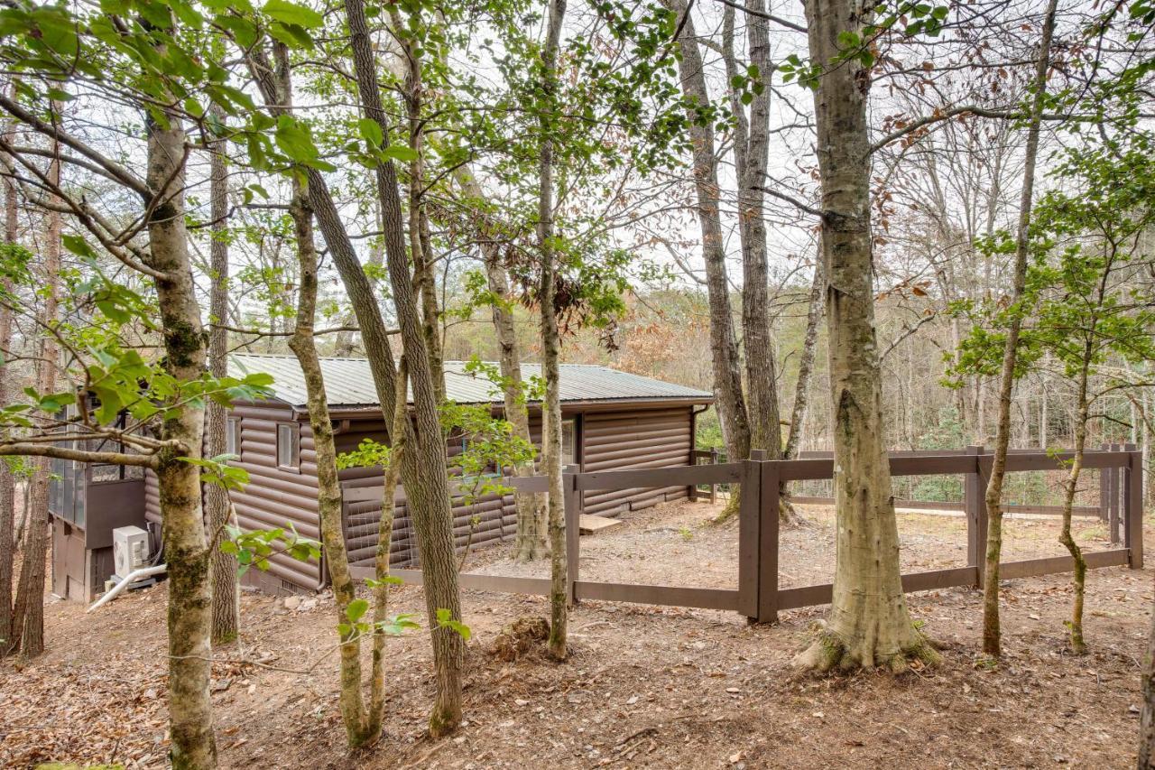 Peaceful Warne Cabin Fenced Yard And Screened Porch Brasstown Ngoại thất bức ảnh