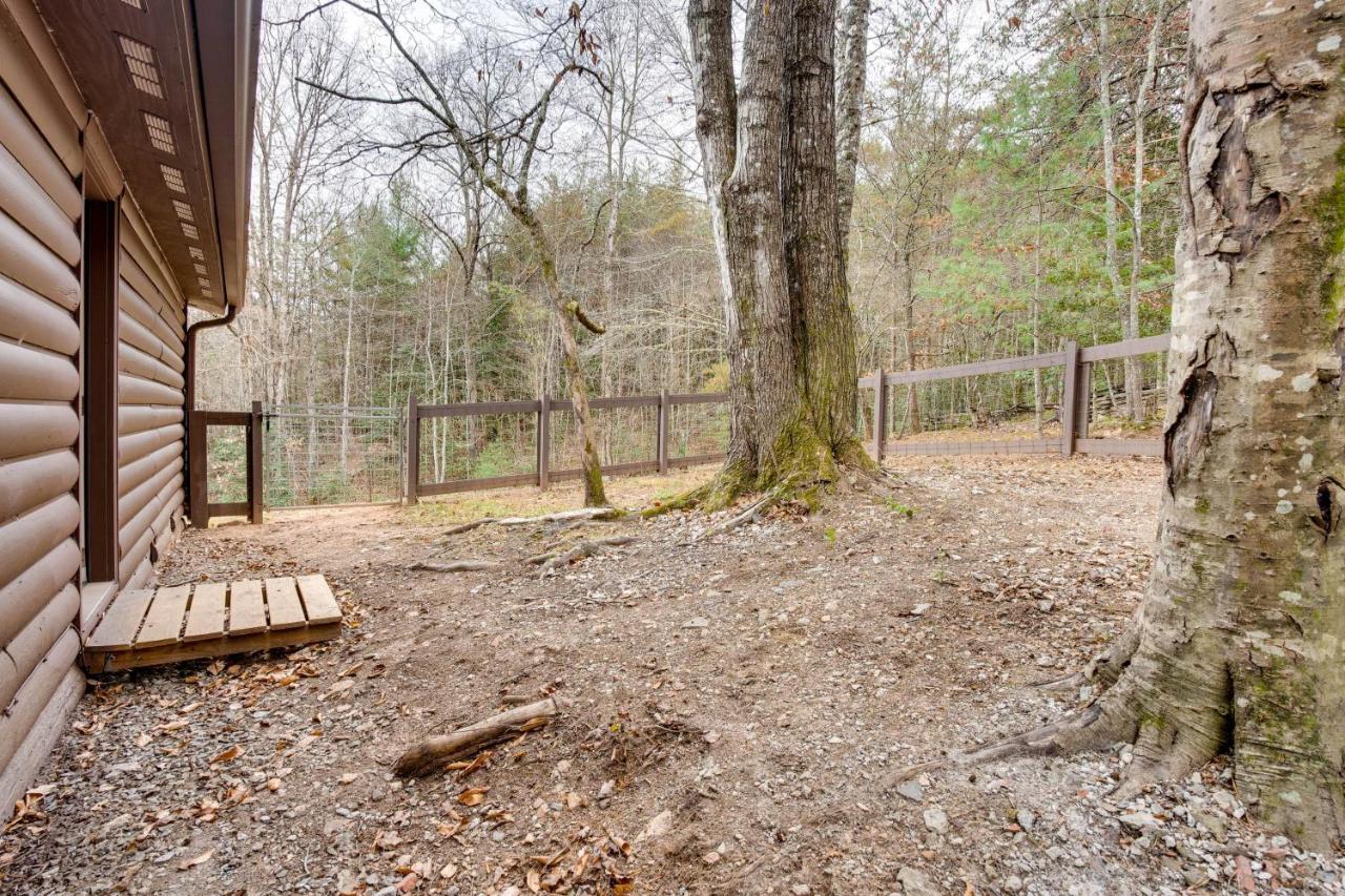 Peaceful Warne Cabin Fenced Yard And Screened Porch Brasstown Ngoại thất bức ảnh